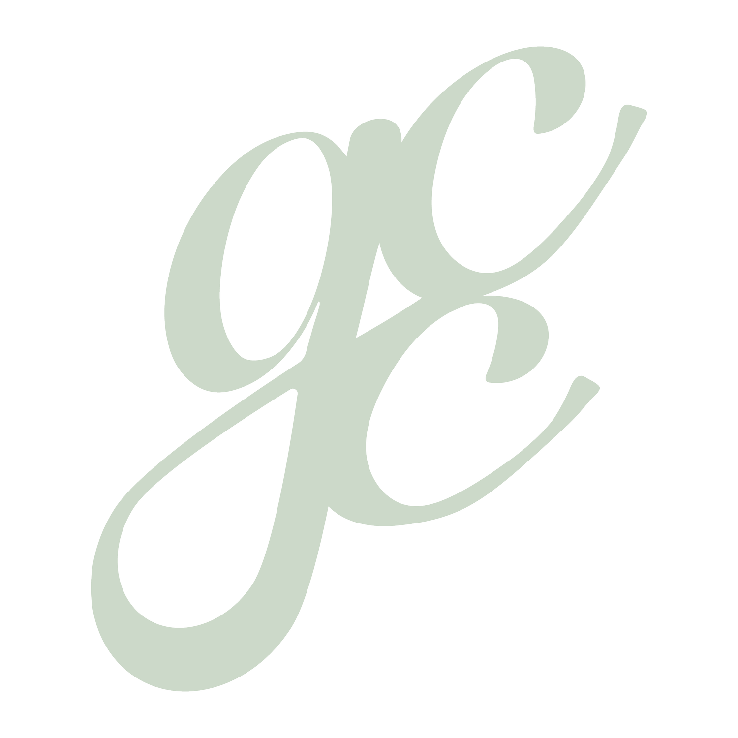 Greenville Cleaning Crew